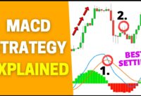 MACD Indicator Explained: Best Trading Strategy (Highly Effective)
