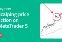 Scalping price action on MetaTrader 5