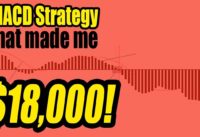 Learn the MACD crossover strategy that made me $18,000 on one trade!