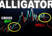 The Good way to use Williams Alligator Indicator ? – Forex Day Trading