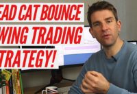 Dead Cat Bounce Swing Trading Stock Strategy 🐈🐱