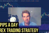 10 PIPs a Day Forex Scalping Strategy 🔨
