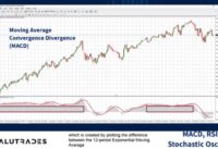 The Value of Indicators: MACD, RSI and the Stochastic Oscillator