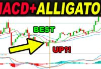 BEST and Proper Way to use MACD Alligator Trading Strategy