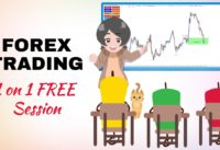 LEARN FOREX TRADING (1 on 1 FREE Training – Session #1) with ABDUL from JORDAN