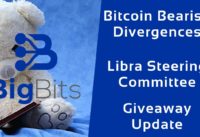 Bitcoin Bearish Divergences – Libra Steering Committee – Giveaway Update – 1-17-2020