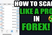 The BEST Scalping Strategy For SMALL Forex Accounts! (75% Win Rate)