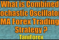What is Combined Stochastic Oscillator/MA Forex Trading Strategy | Explained in English by Tani