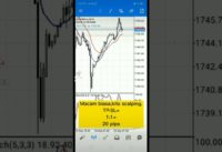 Scalping #forex using stochastic and MA. Very easy