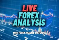 Trading Forex with Divergence Live with Forex Trading Watchdog