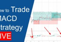 Live trading. How I find trade setups for the MACD strategy from Trading Rush Live