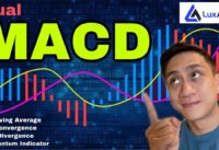 EASIEST CRYPTO TRADING STRATEGY INDICATORS 2021 | MACD and Lux Algo Indicator