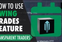 How to use the swing trade feature in the TT Blackbox | Blackbox Trading