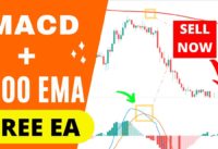 I Tested MACD + 200 EMA Trading Strategy with a Free Expert Advisor – MACD Indicator Explained