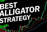 BEST William's Alligator Strategy for Daytrading Forex
