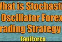 Stochastic Oscillator Forex Trading Strategy | Tutorial for Beginners | Explained in English by Tani