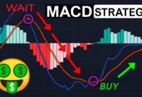INSANE MACD Strategy for Day Trading (High Winrate Strategy)