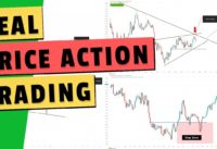 Ultimate free Price Action trading course from pro trader