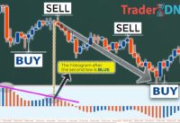 🔴 Price Action "SCALPING & DAY TRADING" Was Hard, Until I Discovered This GAME CHANGING Strategy