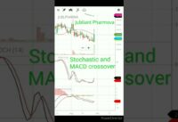 MACD Stochastic and 100 days moving average crossover daily share market update nifty bank nifty