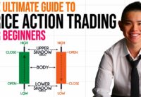 Price Action Trading For Beginners & Advanced Traders