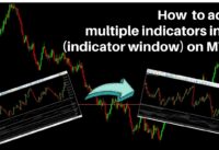 How to add multiple indicators in 1 indicator window on mt5