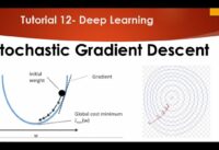 Tutorial 12- Stochastic Gradient Descent vs Gradient Descent