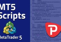 How to use Scripts in MetaTrader 5