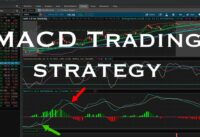 5 Minute MACD Trading Strategy | MACD | Stochastics | Options Trading | Thinkorswim