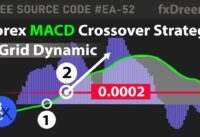 Best Forex Robot MACD Crossover Strategy + Grid Dynamic Trading – Free source EA-52 by fxDreema