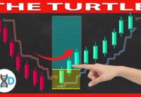 🔴  **FULL COURSE FOR BEGINNERS** The “BEST” TURTLE CHANNEL Trading Strategy That NoOne Ever Told You