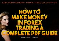 How to Make Money in Forex Trading 2021 A Complete PDF Guide