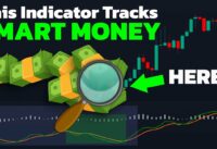 The ONLY Volume Indicator You Will Ever Need! [BEST Smart Money Tracker]