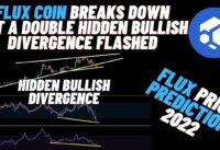 Flux Coin Breaks Down But A Double Hidden Bullish Divergence Flashed |  Flux Price Prediction 2022