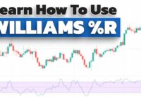 Williams R Indicator Explained For Beginners (Learn How To Use Williams R In Trading Strategy)