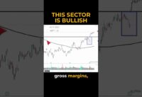 This Stock Sector is BULLISH