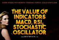 The Value of Indicators: MACD, RSI, Stochastic Oscillator