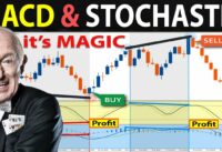 🔴 The Magic of “MACD-STOCHASTIC Divergences” – The Mandatory Rules for that Every Trader Must Follow