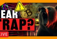 Bitcoin & Crypto: BEAR TRAP or Crash Next?  (Charts to watch, Crypto TA & Strategies)