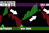 1 Minute Scalping Strategy Using Only 1 Indicator,  87% Accuracy + New Settings