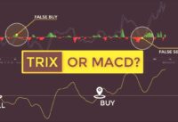 How to Trade With TRIX Indicator (Triple Exponential Average Forex & Stock Strategy)