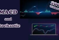 100% WinRate Strategy | MACD and Stochastic Strategy | Trading Galaxy