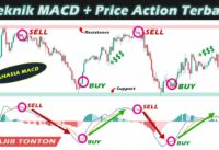 Strategi Scalping MACD + Price Action Terbaik Akurat, Profit Konsisten || Teknik MACD Pemula