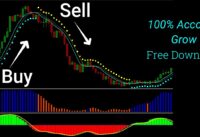 The Most Powerful MT4 Swing Trading Indicator | 100% Profitable Trading Setup