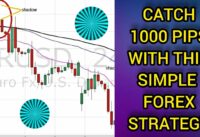 Catch 1000 PIPS with this Proven H1 Timeframe FOREX Swing Trading Strategy | Simple and easy trades