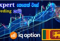 Bollinger Bands With Stochastic Oscillator Indicator Strategy 2021 For beginners/Srilanka