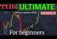 1minute binary strategy for beginners | pocket option 2023 | best indicator strategy | win every day