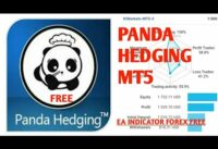 EA Panda Hedging MT5 | Review Tutorial
