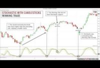 FX Trader Explains His AUDNZD Daily Chart Stochastic Trading