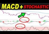 Highly Profitable Stochastic RSI + MACD Swing Trading Strategy (Proven 100x)